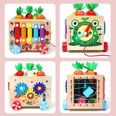 Children's Multi-functional Educational Toy Gear and Carrot Pulling Learning Activity Box